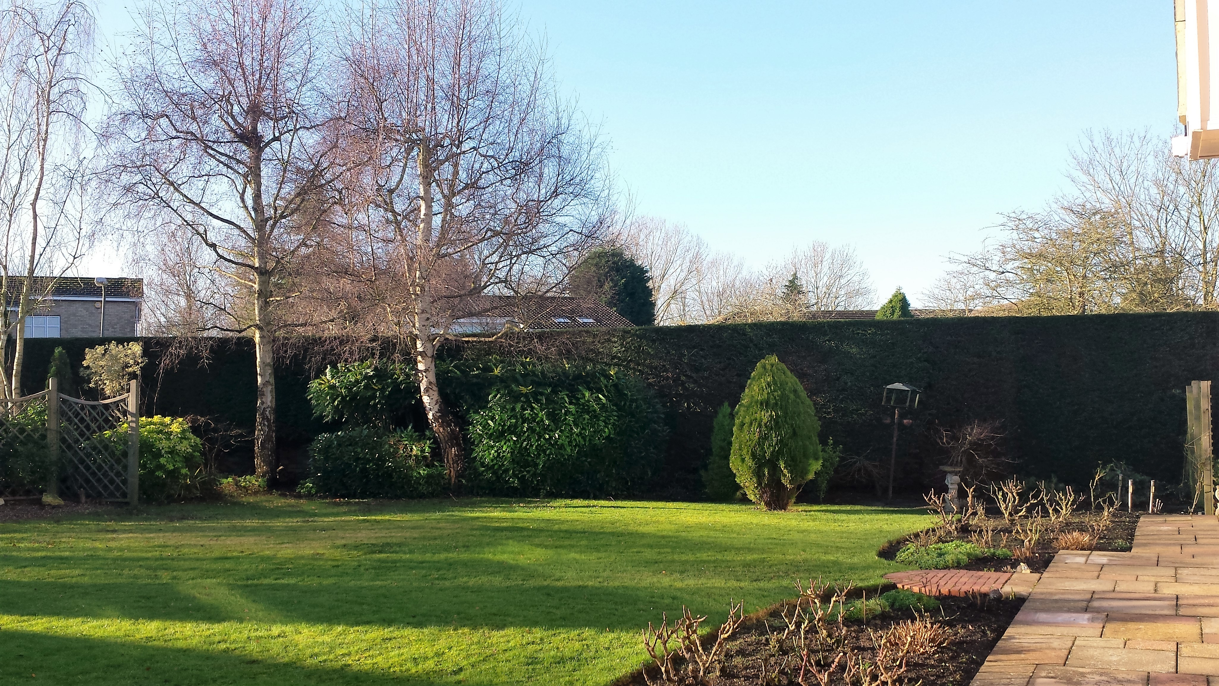 Tree Trimming in Broughton Tree Trimming in Broughton